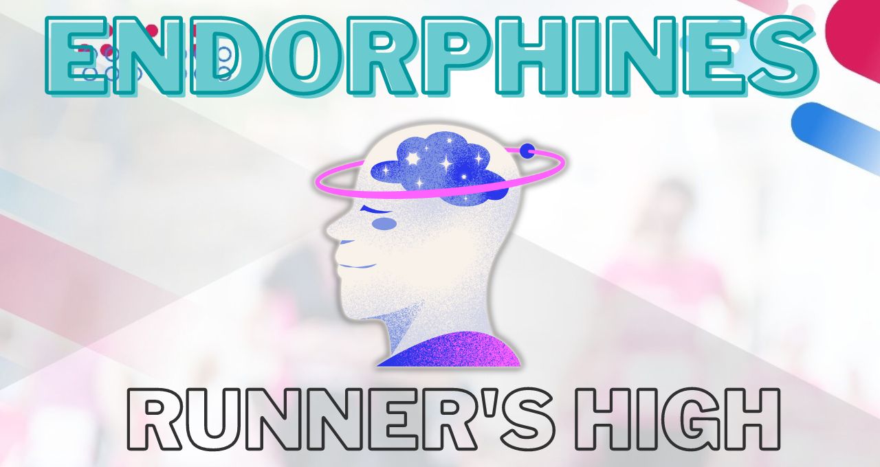 The Power of Endorphins: Transforming Running Training into a Euphoric Experience